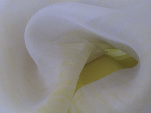 14-314-IMG-9693.jpg