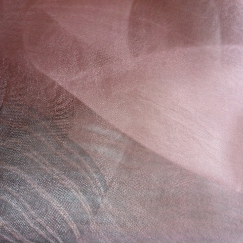 16-539-IMG-9526.jpeg