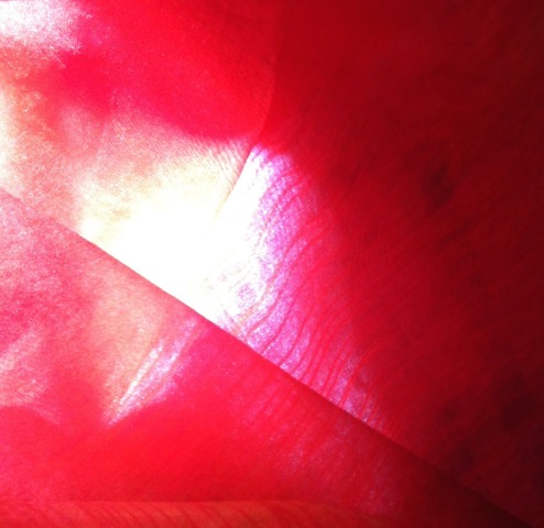 16-556-IMG-1521.jpeg