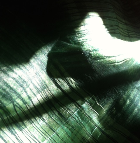 16-559-IMG-1534.jpeg