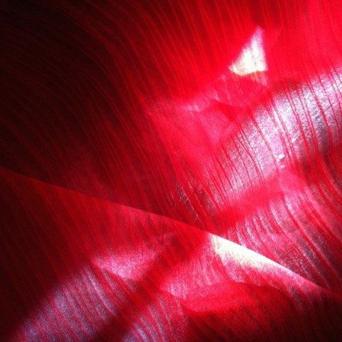 16-555-IMG-1526.jpeg