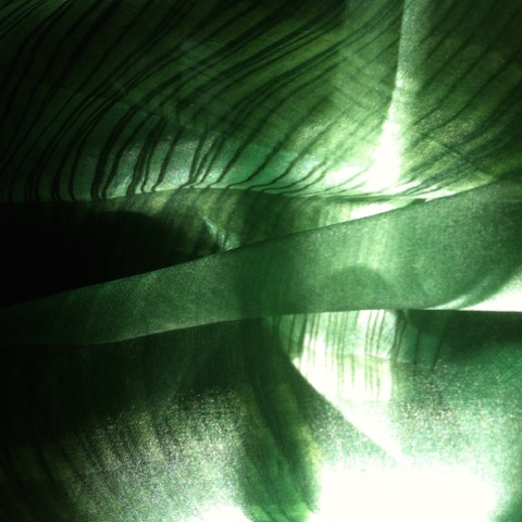 16-559-IMG-1535.jpeg