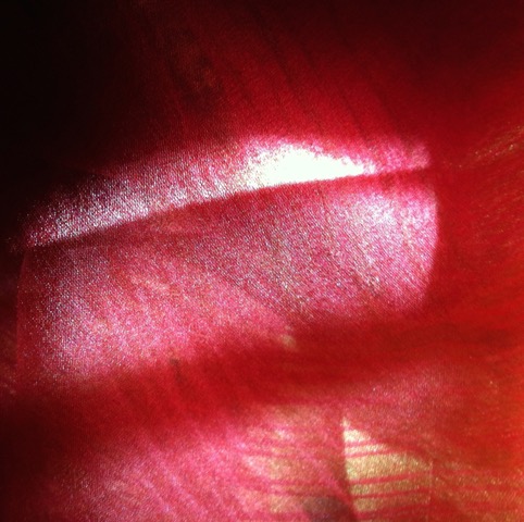 16-556-IMG-1520.jpeg