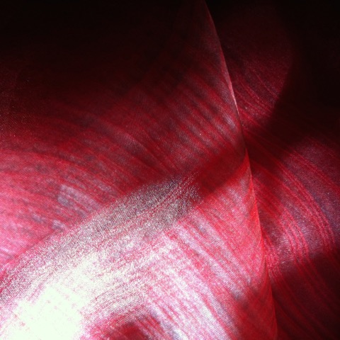 16-555-IMG-1530.jpeg