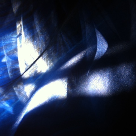 16-561-IMG-1508.jpeg