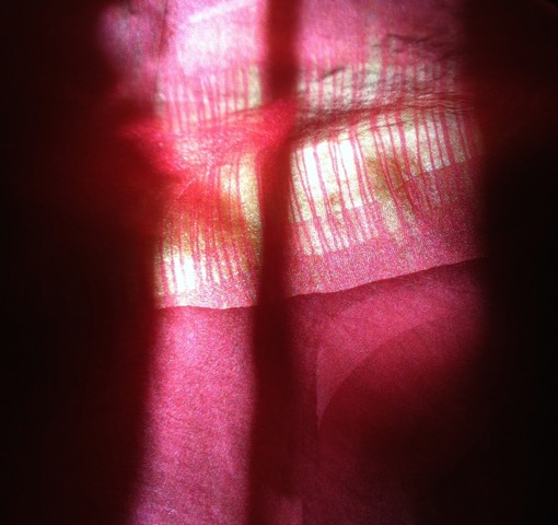 16-558-IMG-1524.jpeg