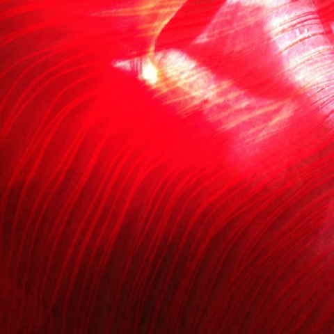 16-555-IMG-1527.jpeg