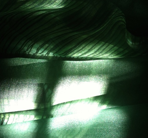 16-559-IMG-1536.jpeg