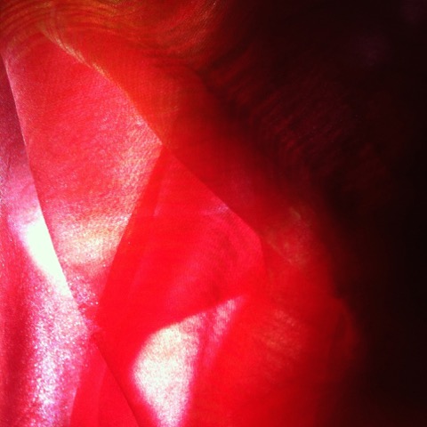 16-556-IMG-1522.jpeg