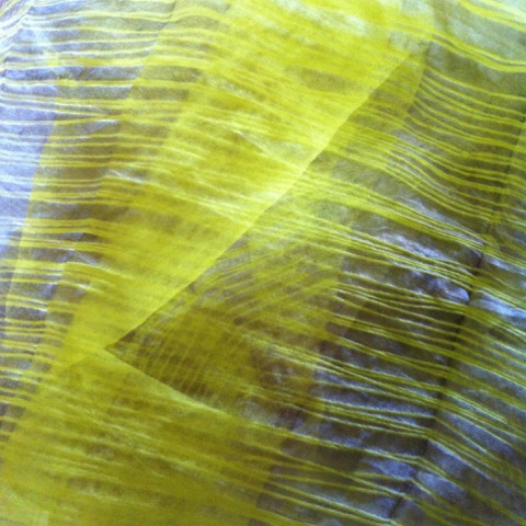 16-538-IMG-9473.jpeg